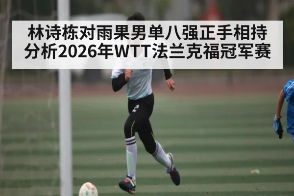 林诗栋对雨果男单八强正手相持分析2026年WTT法兰克福冠军赛 | kaiyun